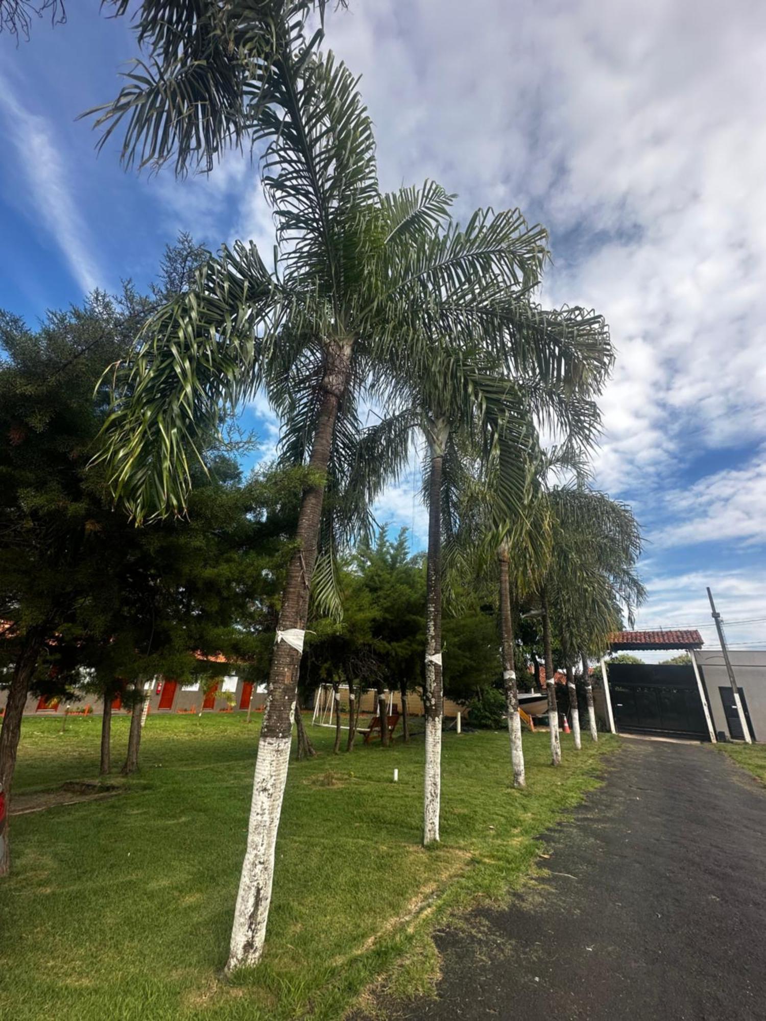 Sao Pedro Hotel *