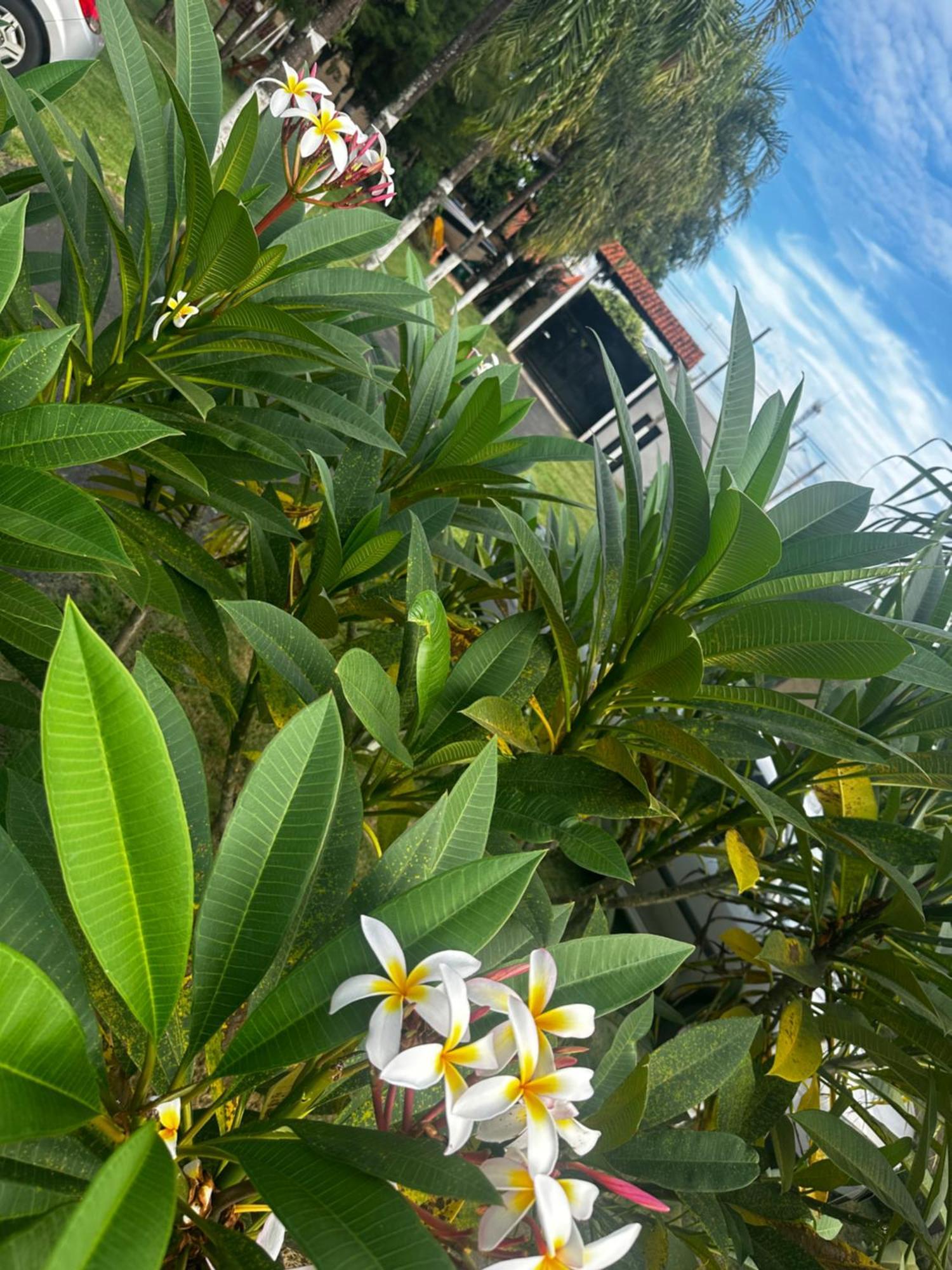 Hotel Sao Pedro *